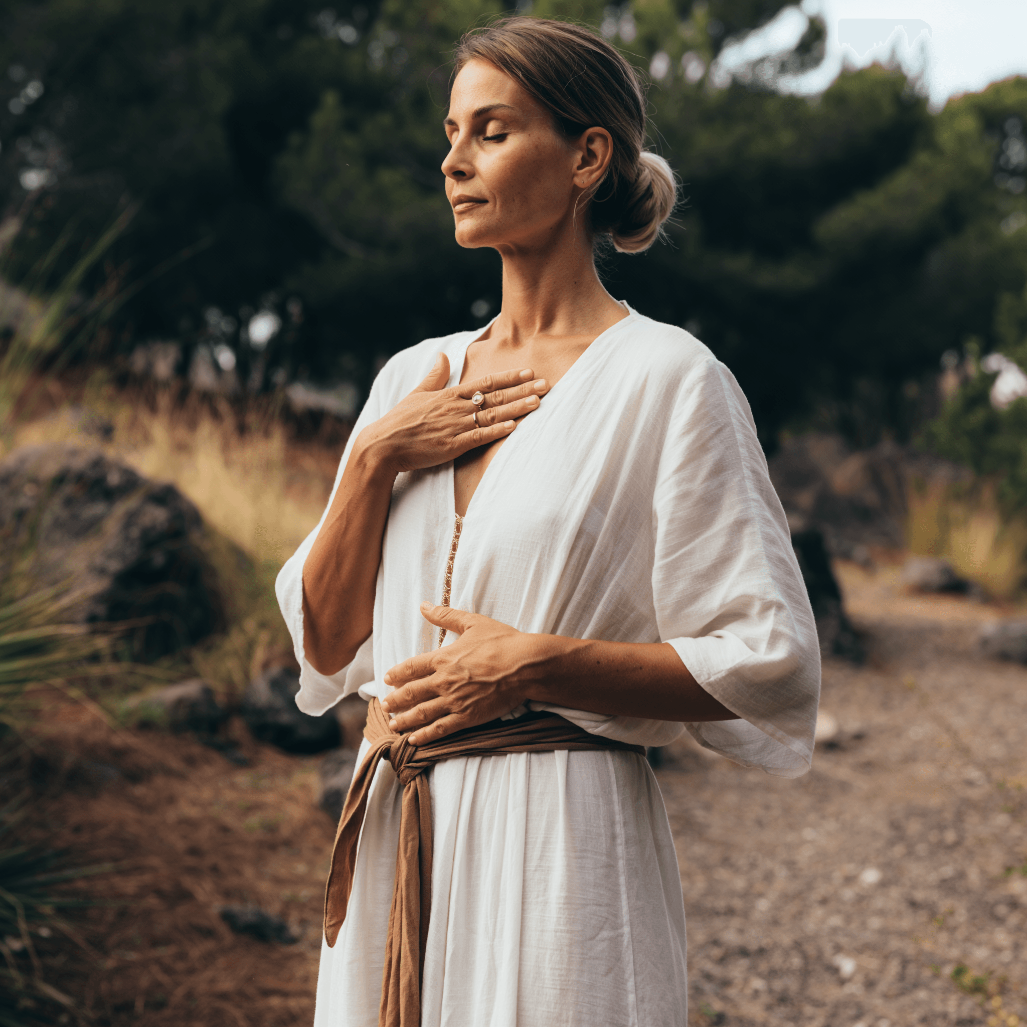 Somatic Experiencing Consultation